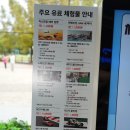 삼성카타운 | 클래식카 시승체험이 가능해진 삼성화재 모빌리티뮤지엄의 새로운 모습 (방문자 500만 돌파 기념 재방문...