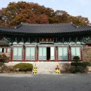 곡성-215 이미지