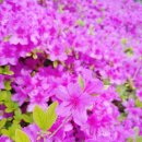 관교어린이도서관 이미지