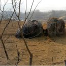 산내농장 이미지