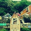 강촌초코민트 이미지