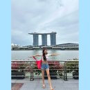 1월 싱가포르 Day1. 섬딤섬 마리나베이샌즈몰 토스트박스 슈퍼트리쇼