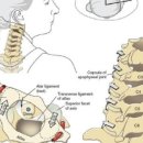 스탠바이짐 세종점 이미지