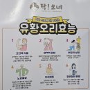 덕담골유황오리 | 거제 초복 중복 말복 맛집 탁오네 오리백숙 먹지롱