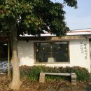 모든날이 행복하기를 | 제주도 서귀포 남원 애견동반 게스트 하우스 추천 / 모든날이 행복하기를 (마음이 따뜻해지는 감성 숙소)