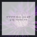 플러스경희한의원 이미지