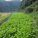 길곡마을1 이미지