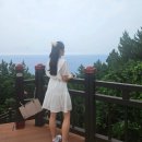 독도박물관 | 울릉도 여행 - 독도 일출 전망대 케이블카 (후기, 가격, 할인, 포토존, 독도박물관)