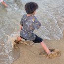 바다빛 | 속초해수욕장 야간개장, 빛의 바다 미디어아트 아이랑 다녀온 후기