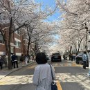 서울 합정동 길거리 이미지