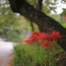 주)영광사