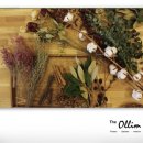 윈터 플라워 클래스 이미지