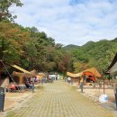 양주시 미술관 옆 캠핑장 이미지