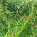 성지부동산중개사무소 이미지