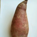 고구마 펙토리스토리 이미지