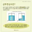 삼투