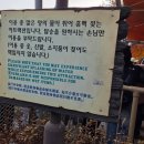하우스랜드 | 4세 아기랑 겨울 에버랜드 썬더폴스, 볼하우스 후기