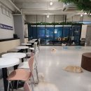 멍브로 이미지