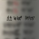 1012 | 260626 크로스핏 1012회차 후기 [NED : back squat, row] / 전완근 끊어졌어요.(과장입니다.)