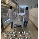 조산종합인력 | 일산병원 쌍둥이 30주 응급제왕절개 생생후기 김희선교수님