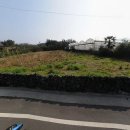 임대길농장 이미지