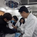 좋은동물병원 - 안성시 만세로 620 | 좋은동물병원