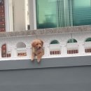 용궁농장 이미지