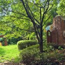 성불산자연휴양림 이미지