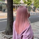 채리헤어숍