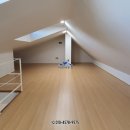 탄벌동-4 이미지