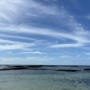 스테이뵤뵤 | 종달리 감성숙소 스테이뵤뵤 / 김녕 바닷길 / 구좌읍 오저여 노을 (feat. 돌고래!!) / 제주한달살이 2편