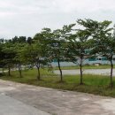 여주-1130 Daum카페