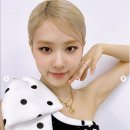 로제 이미지