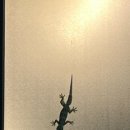 비비큐 (B.B.Q) 이미지