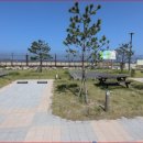 명파 해변 오토캠핑장 이미지