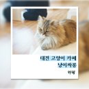 냥이 싸롱 이미지