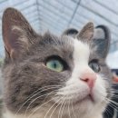 더 빌리지 펜션 이미지