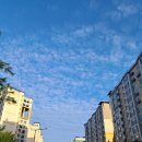 코디의원 이미지