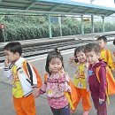 삼보초등학교(병설유치원) 이미지