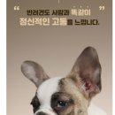 플러스소프트 이미지