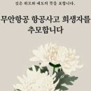 무안공항 사고ᆢ애도주간 이미지