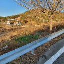 금화부동산공인중개사사무소 이미지