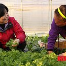 김영욱농장 이미지