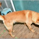 광탄한의원 이미지