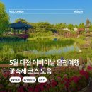 하소동제2경로당 | 5월 대전 어버이날 가족모임 하기좋은 온천여행 꽃축제 코스 주변맛집 모음