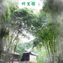 대숲속으로