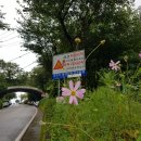 정관산단 진입로 이미지