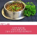 바우바우 이미지