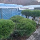 느티나무농장 이미지