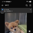 대구혁신메디컬 동물병원 이미지